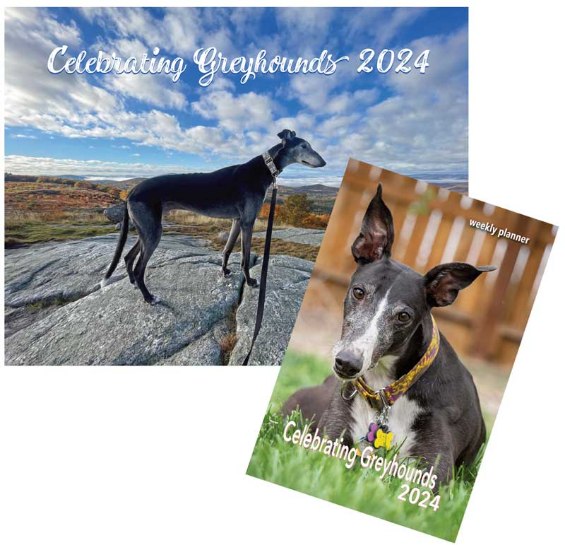Greyhound Calendars Available